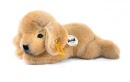 280160 golden retriever welpe lumpi 32 euro, 22 cm niet